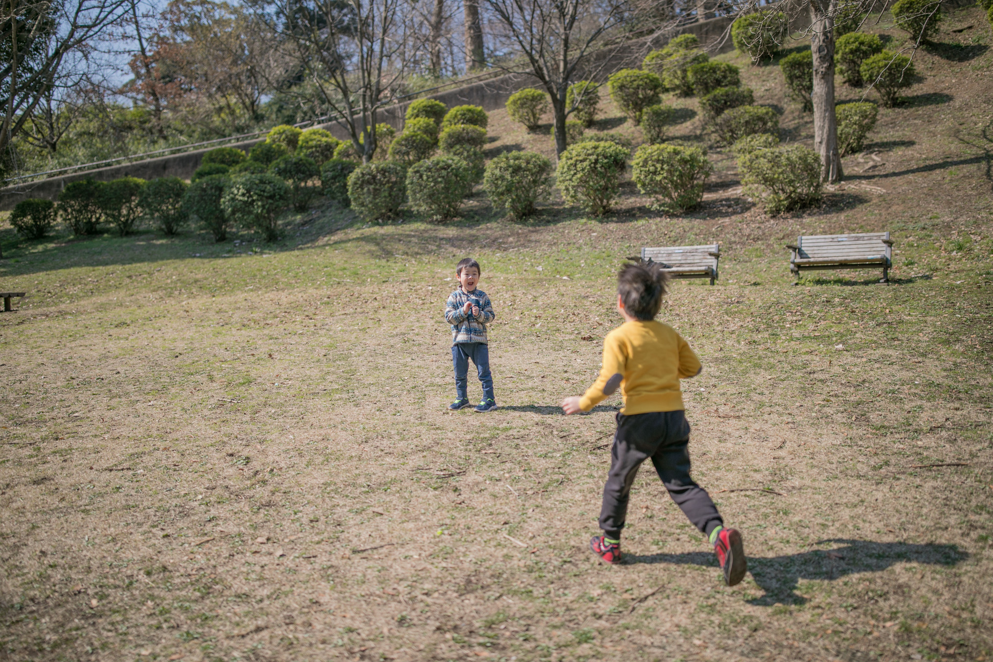 小春日和のこども自然公園  Innocent Clovers